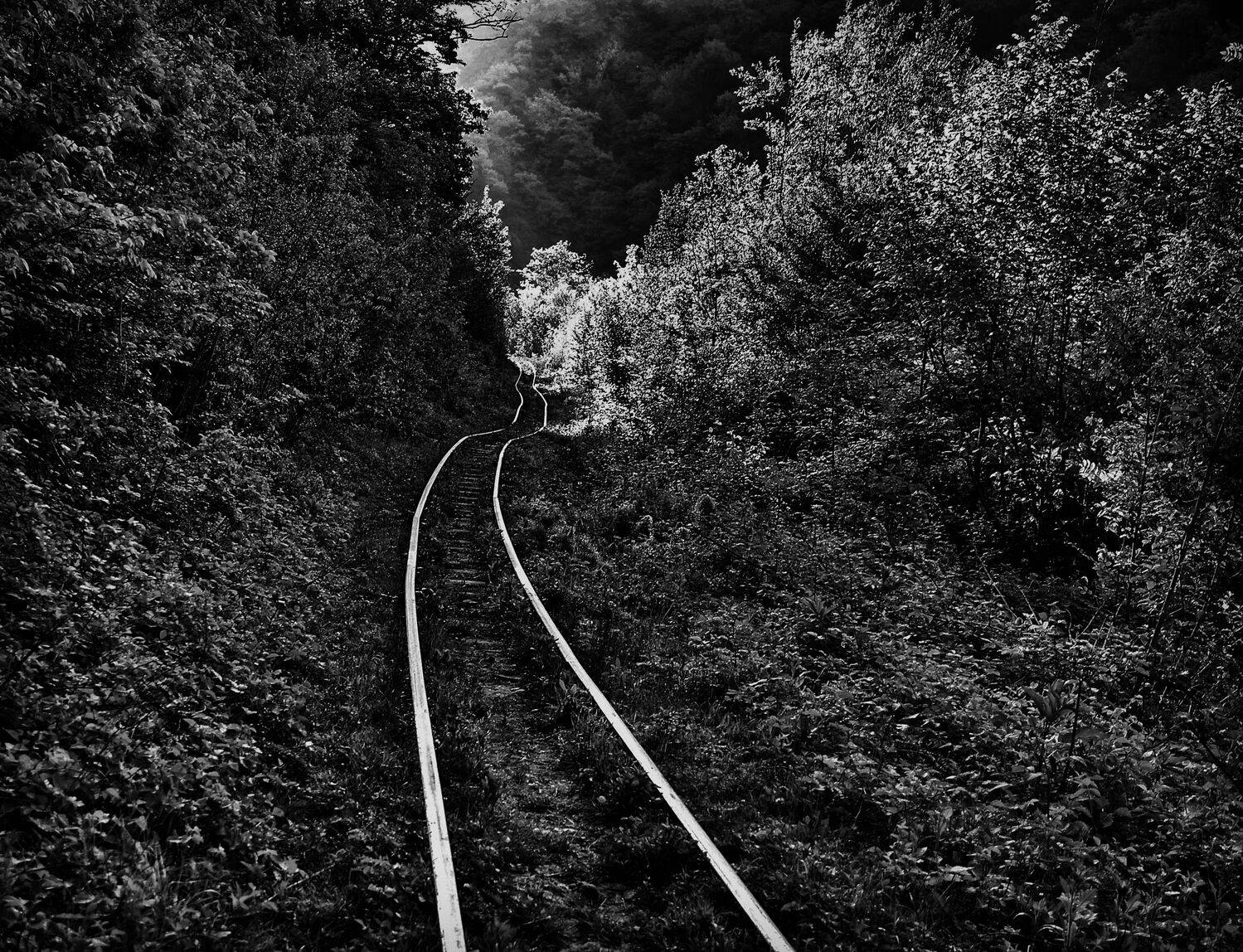 , Vladimir Bragilevsky