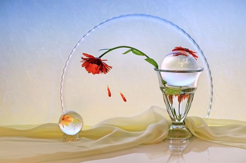 Кровавая Мэриphoto preview