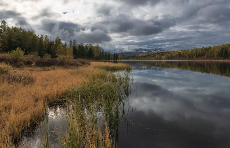 алтай, непогода, солнце, тучи, лиственницы, озеро, киделю Такое разное Киделюphoto preview