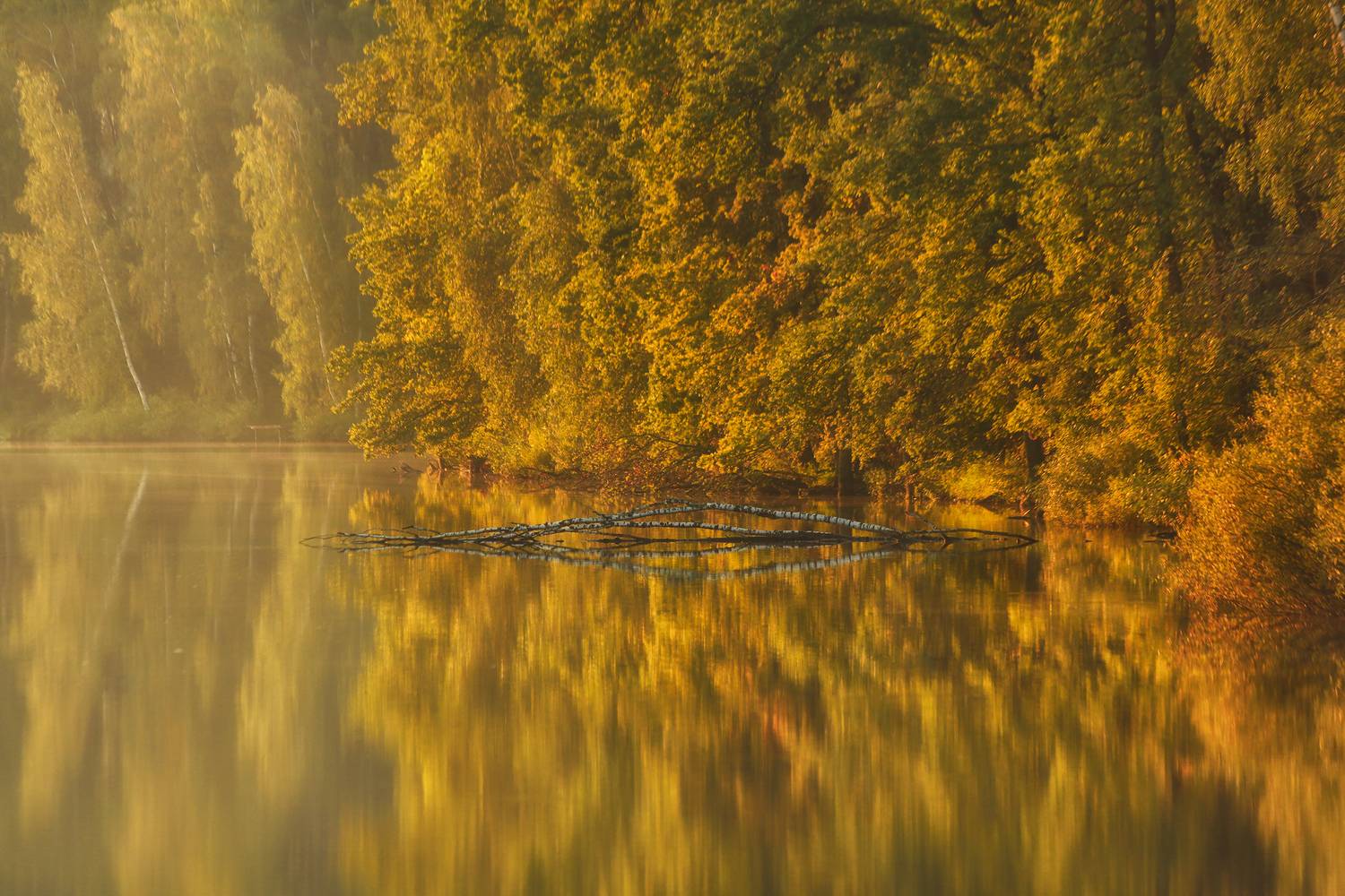 Первые нотки золотой осени. Автор: Пронин Денис пейзаж, осень, река, лес, природа, дикая природа, nature, landscape, canon, Пронин Денис