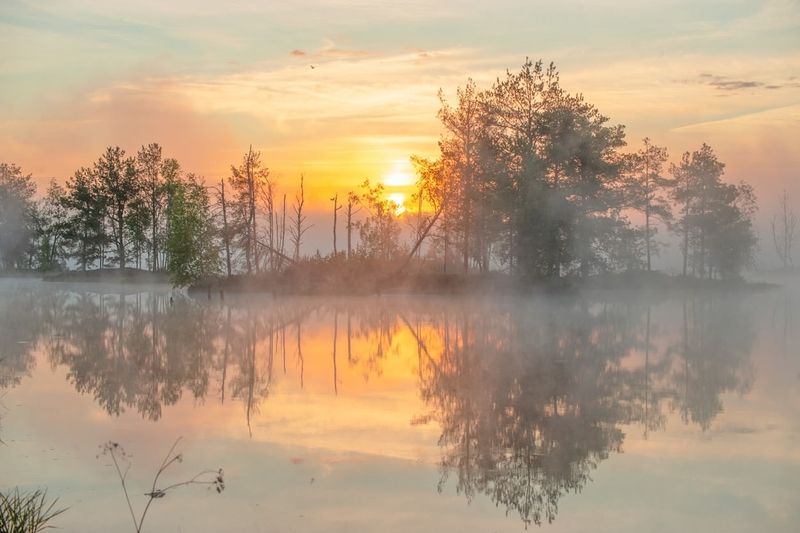 Утренняя тишинаphoto preview