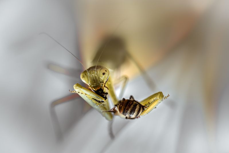 Второй завтракphoto preview