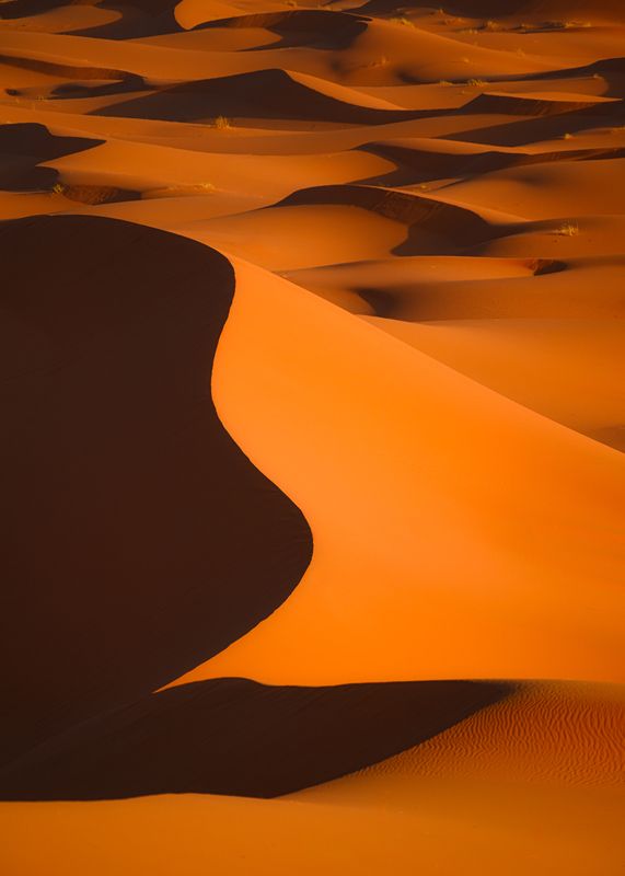 maroc, marocco, sahara desert, desert, sand, orange, light, марокко, пустыня, сахара, пейзаж, дюны, песок  photo preview