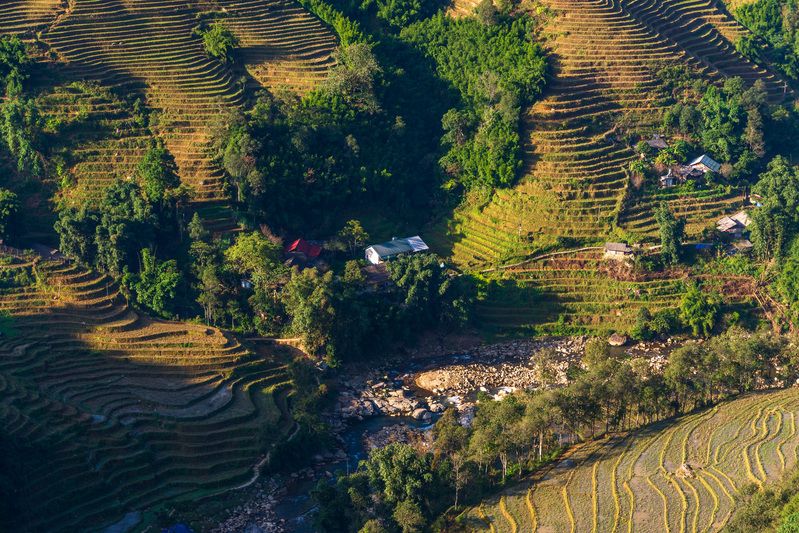 вьетнам, рисовые поля, сапа Са Паphoto preview