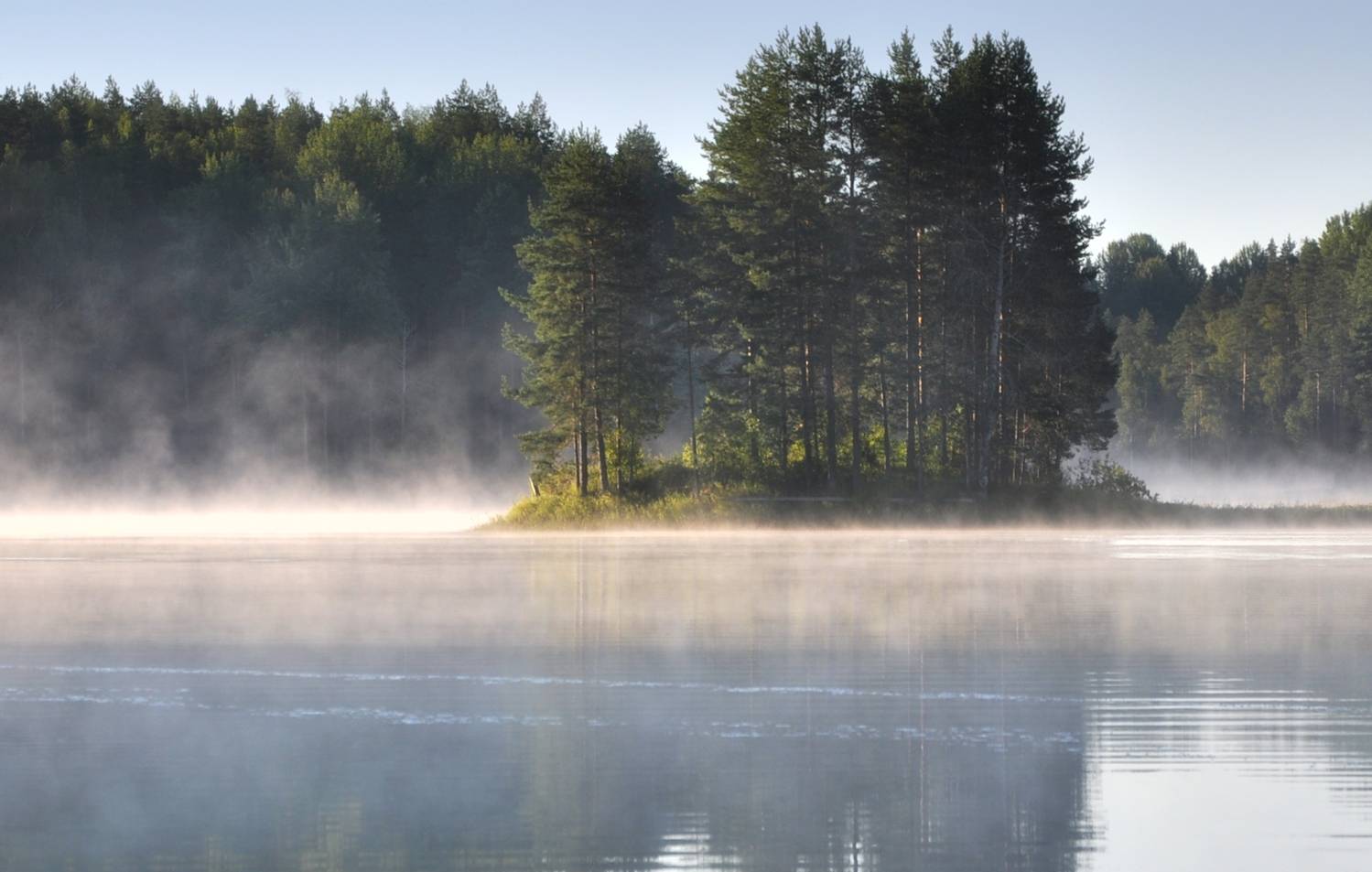 , Андрей Куликов