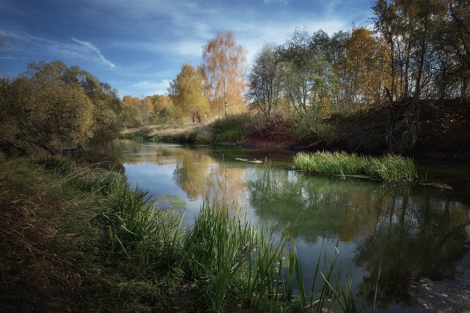 , Алексей Никонов