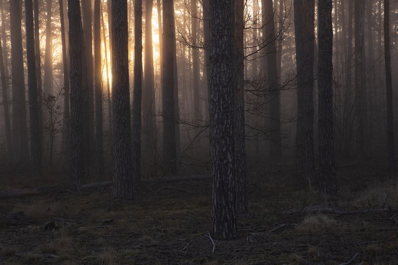 Разгорался рассветphoto preview