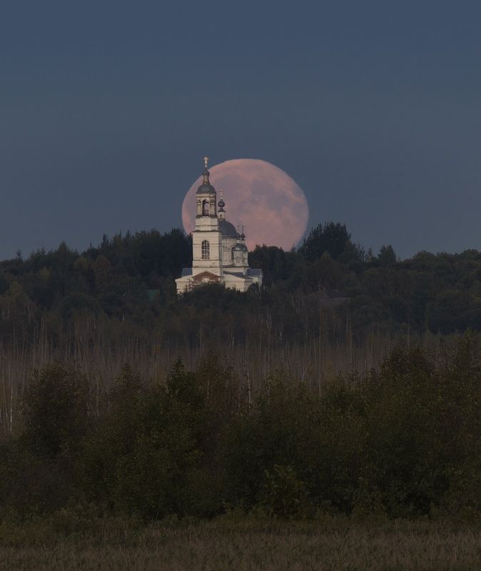 Ножкиноphoto preview