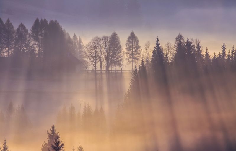 туман деревня утро пейзаж Туманное утро фото превью