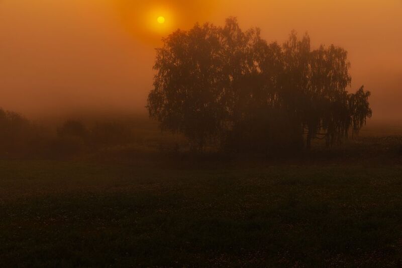 abashkin sergey,абашкин сергей, природа, forest, nature, пейзаж, туман, утро, рассвет, нижний новгород, нижегородчина, майморы, кужутки, дальнее константиново Утренний туманphoto preview