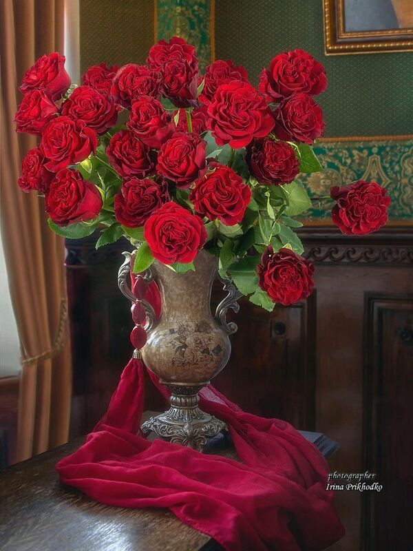 натюрморт, цветы, букеты, розы, интерьер Букет роскошных красных розphoto preview