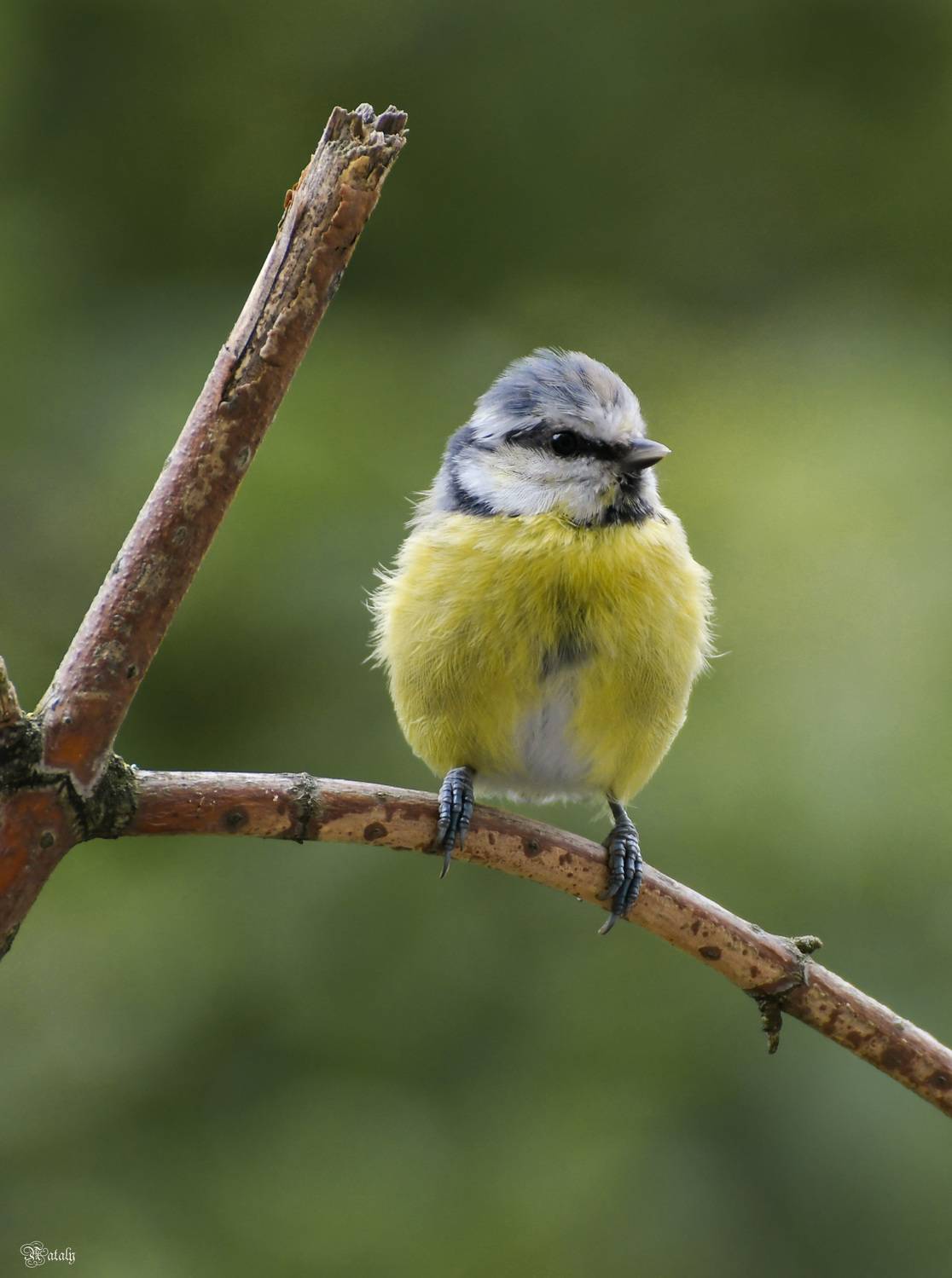 , Наталья Екимова