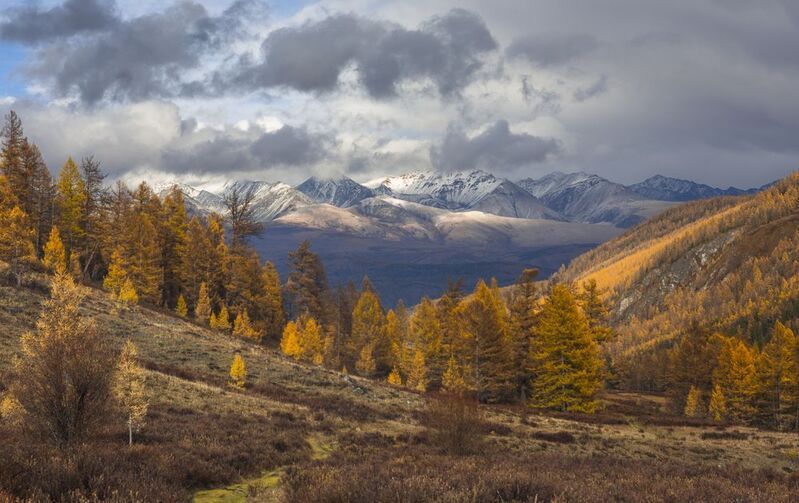 россия, горный алтай,осень После дождяphoto preview