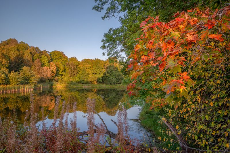 Вот и осень пришла....photo preview