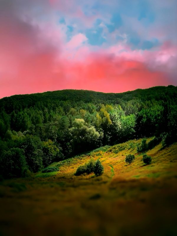 пейзаж, landscape, nature, природа, лето, summer, закат, sunset ***photo preview