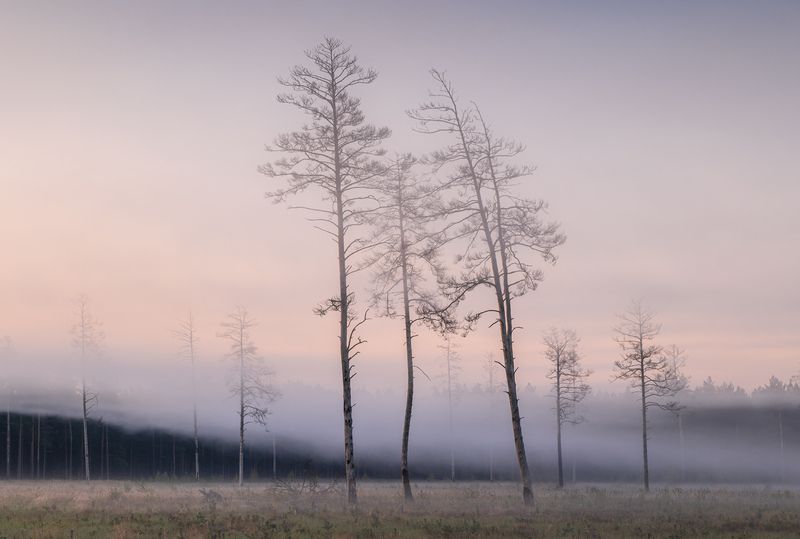 Туманное утроphoto preview