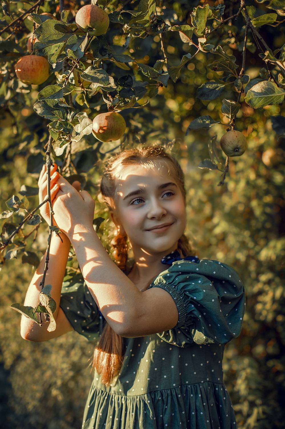 Автор: Ирина Ларина , Ирина Ларина