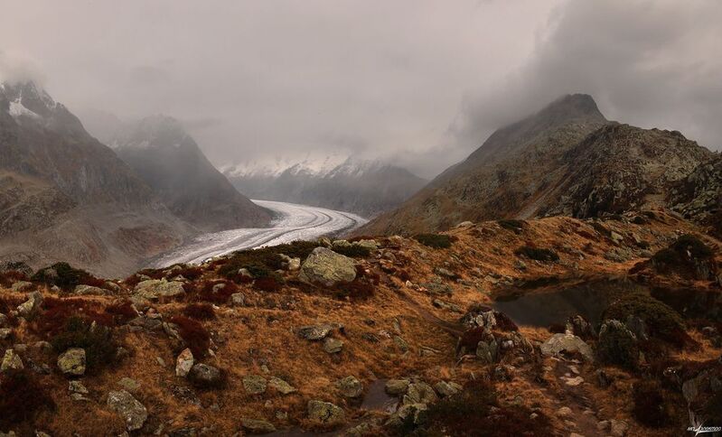 swiss Дыхание Горphoto preview