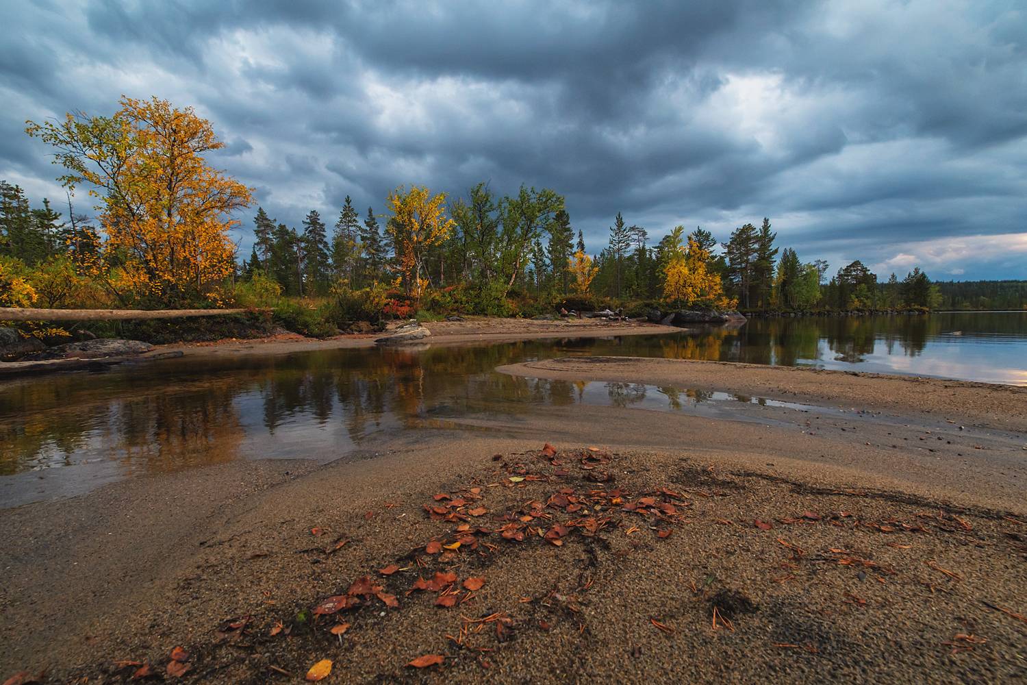 Осень наступает ). Автор: Тихонов Сергей , Тихонов Сергей