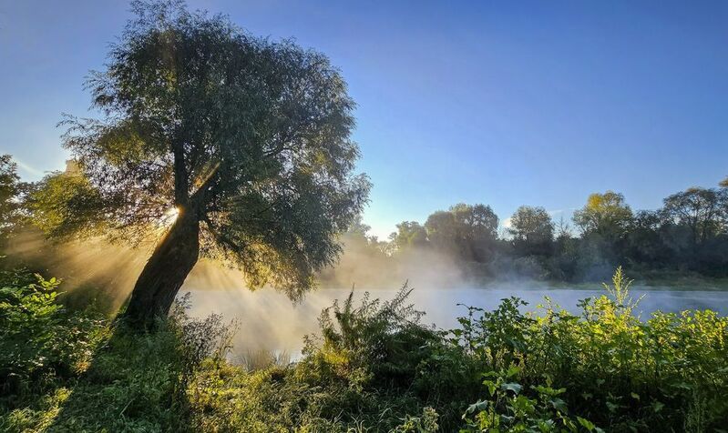 Утро на Хопреphoto preview