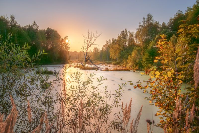 Золото заката....photo preview