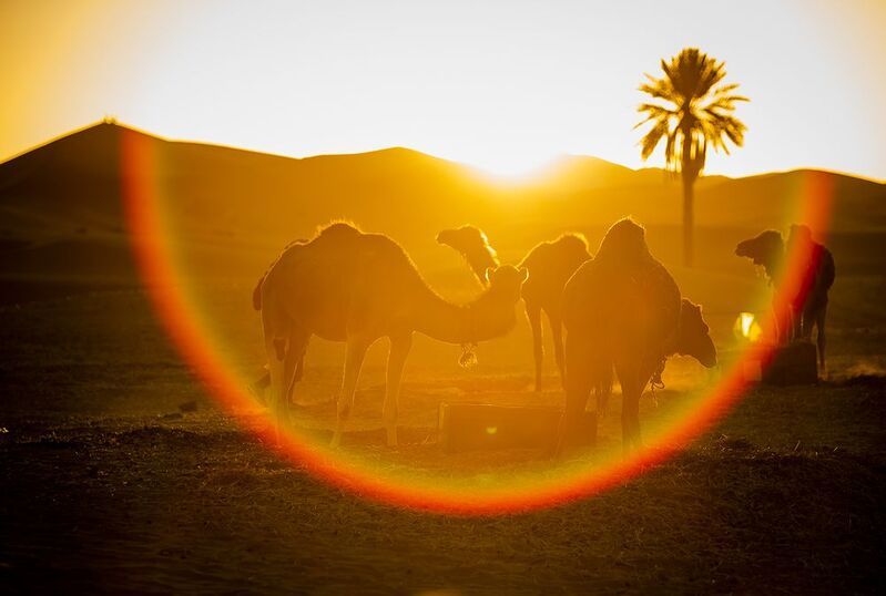 мои марокканские истории, сахара, часть 1 Мои марокканские истории, Сахара, часть 1 фото превью