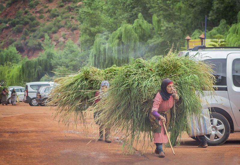 мои марокканские истории, ourika valley Мои марокканские истории, Ourika Valley фото превью