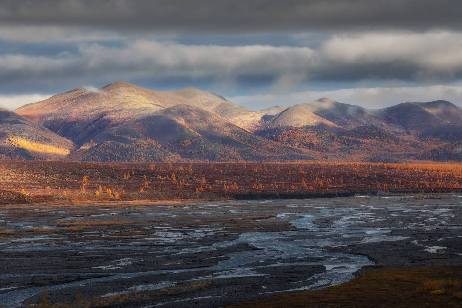 республика_саха_якутия саха якутия оймяконский_улус оймяконье хребет_сунтар-хаята река_бургали осень, Шишкин Дмитрий
