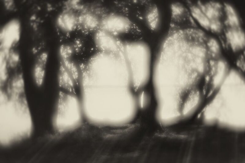 светотень Светотеневой рисунокphoto preview