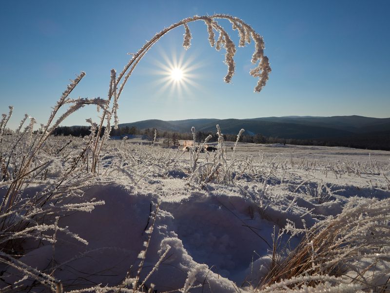 Байкал, иней, солнце Инейphoto preview
