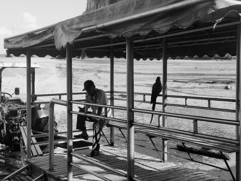 at the pier, b&w, genre, krabi, contrast Waiting for passengersphoto preview