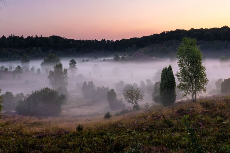 Lüneburg Heath, Germanyphoto preview