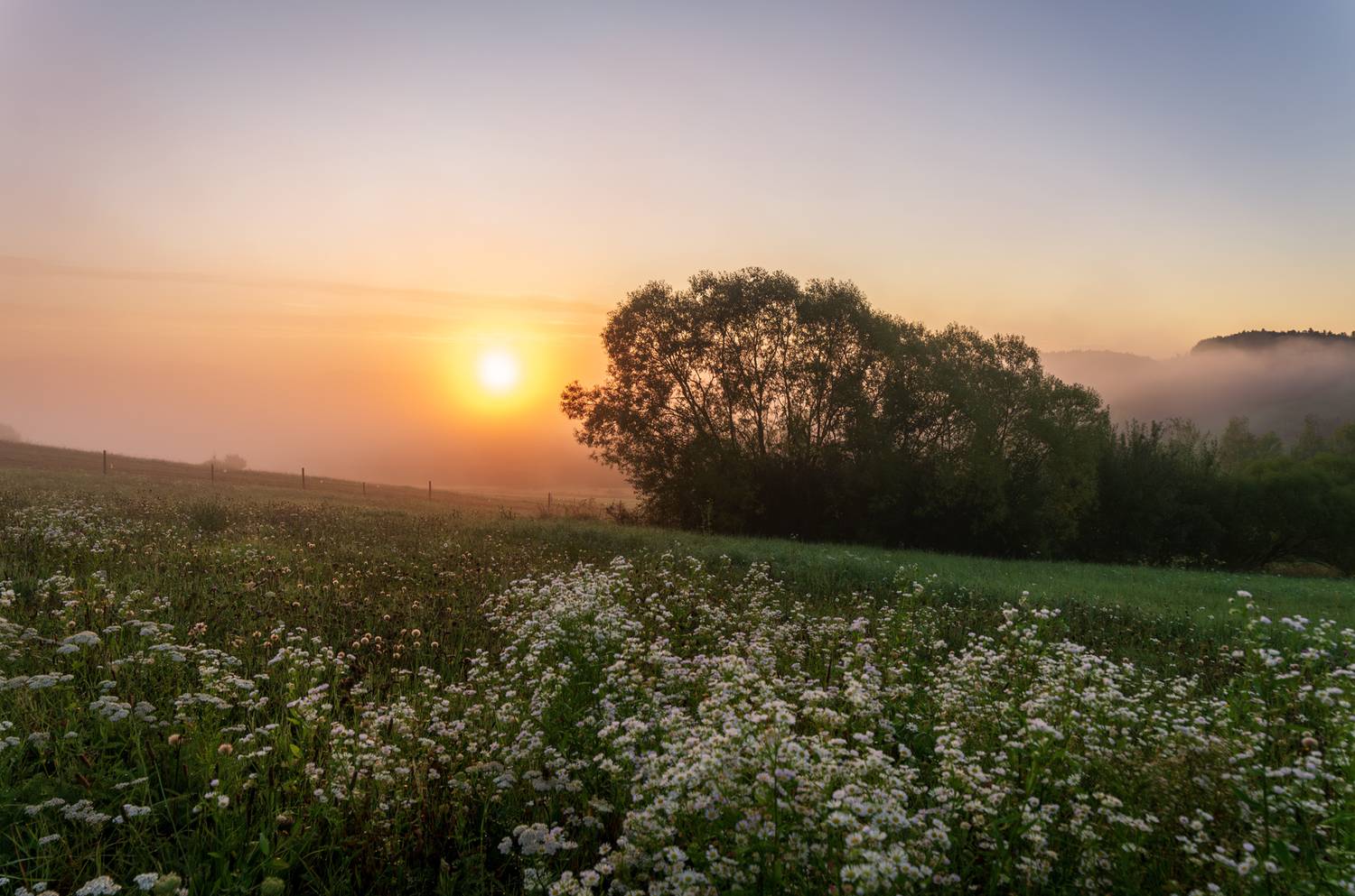 ,  Mirosław Pruchnicki