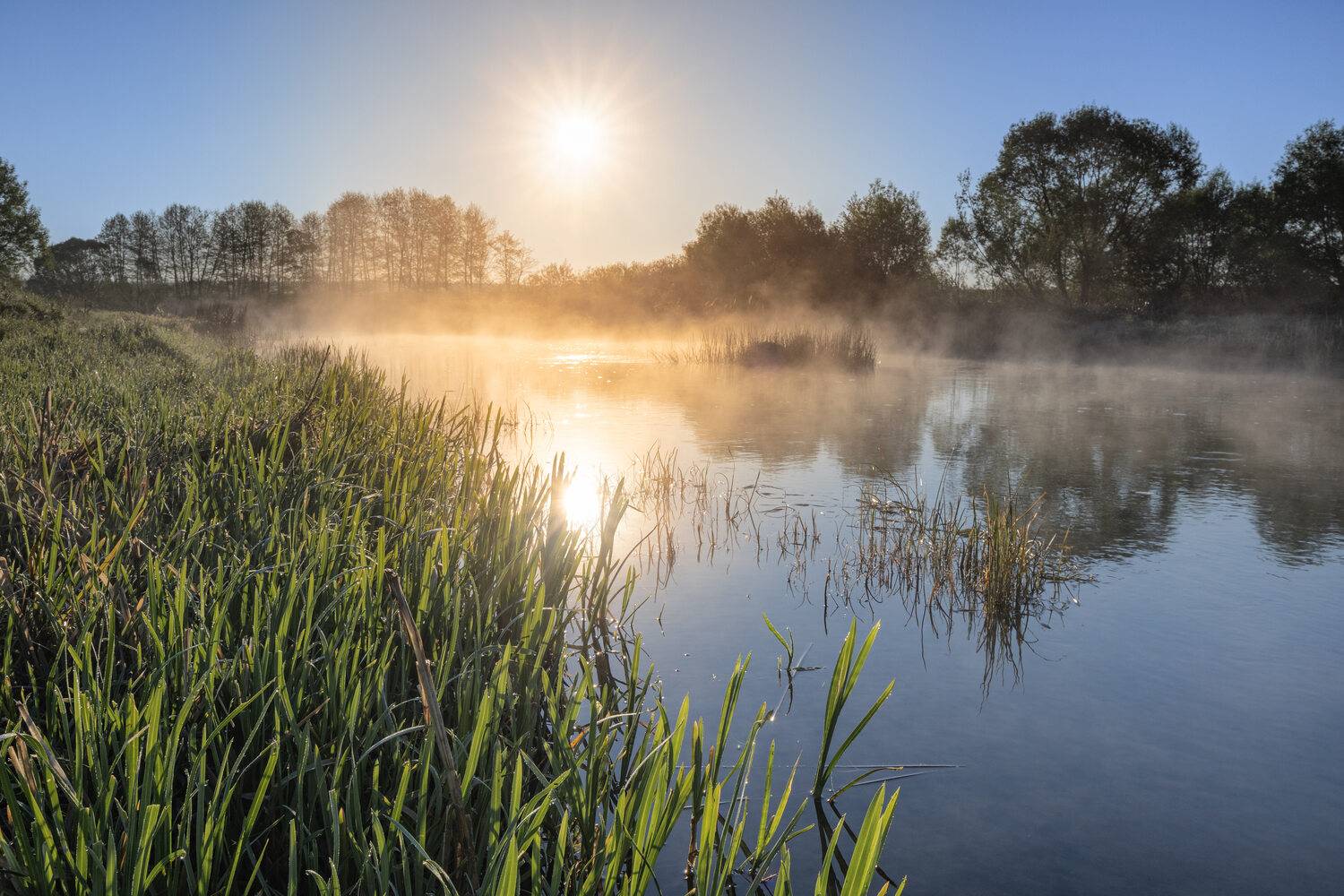 Солнечный май. Автор: Александр Бредихин , Александр Бредихин