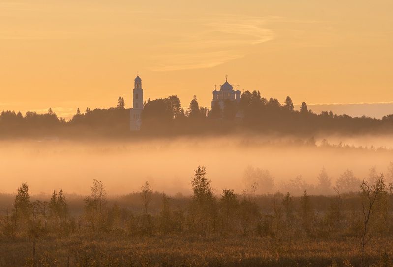 Туманное утроphoto preview