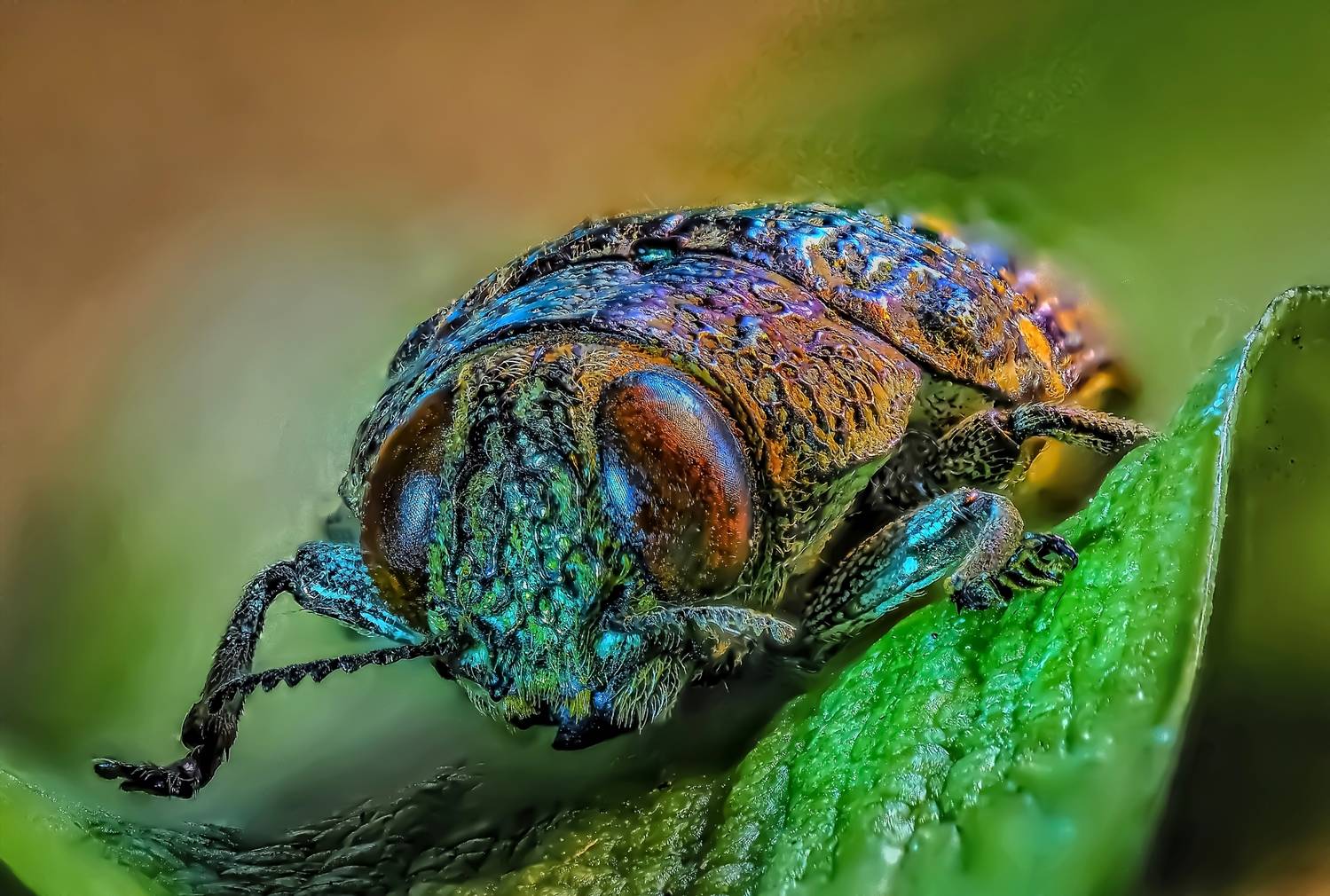 Автор: Савчук Анатолий , Савчук Анатолий