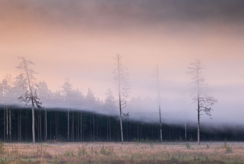 Туманное утроphoto preview