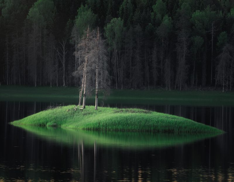 Островок на Большом Сухом озере.photo preview