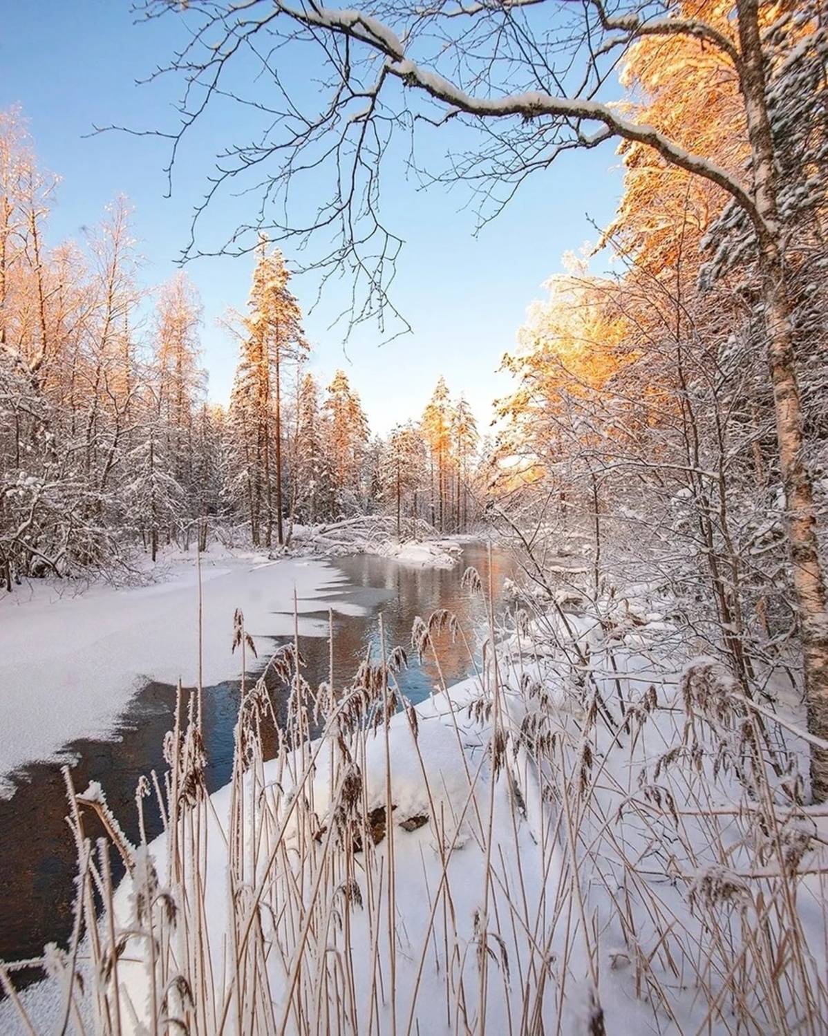 , Петр Косых