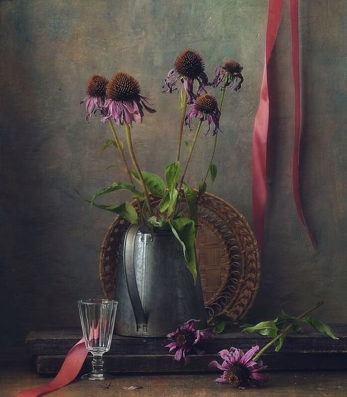 натюрморт,цветы,увядание,эхинацея,кувшин,рюмка,лента с эхинацеей...photo preview