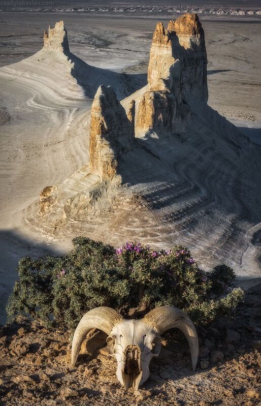 казахстан, фототур, яковлевфототур, мангистау, мангышлак, айракты, босжира, устюрт, карынжарык, тузбаир, торыш, туйесу, сенек Мангистауphoto preview