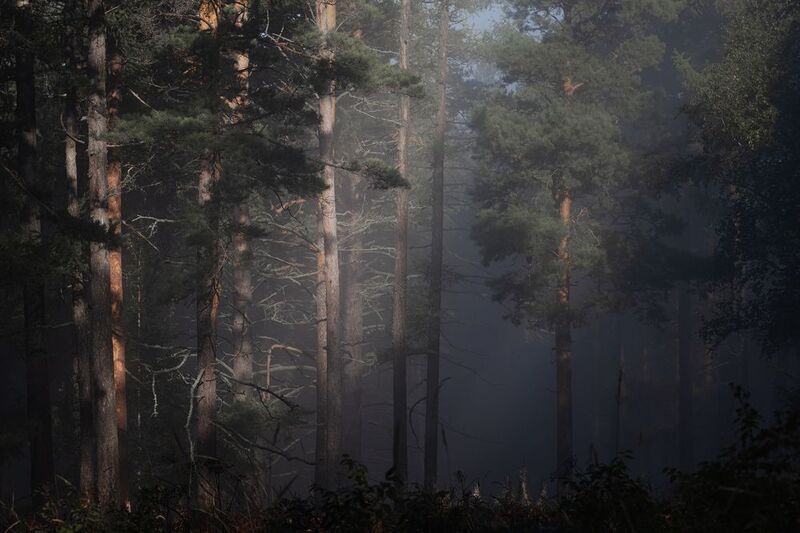 Осенняя магияphoto preview