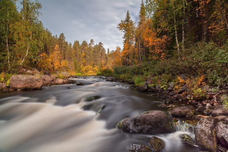 Объятия осениphoto preview