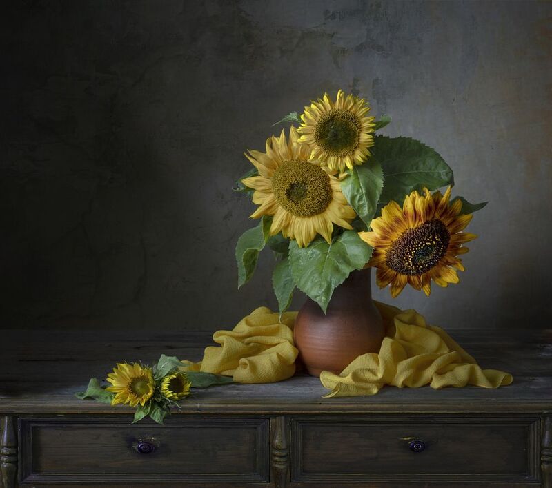 Подсолнухиphoto preview