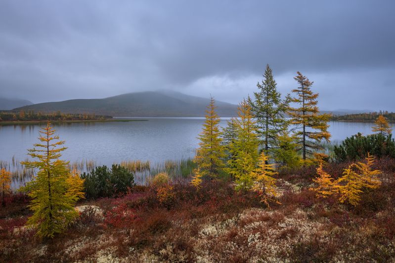 Пасмурно... photo preview