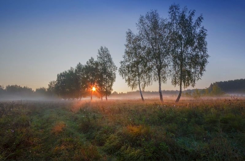 кострома, пейзаж, рассвет, природа, костромская область На рассветеphoto preview