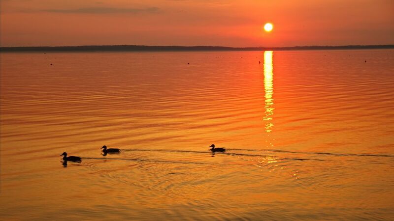 закат, озеро, утки, браславские озера, дривяты Не было печали, просто уходило лето ...photo preview