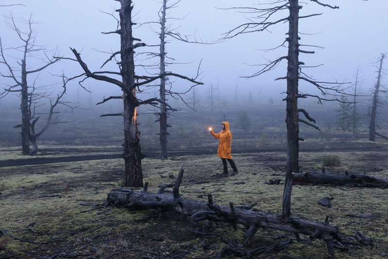 Камчатка В Мертвом лесу.photo preview