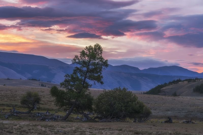 Рассвет в Курайской степиphoto preview
