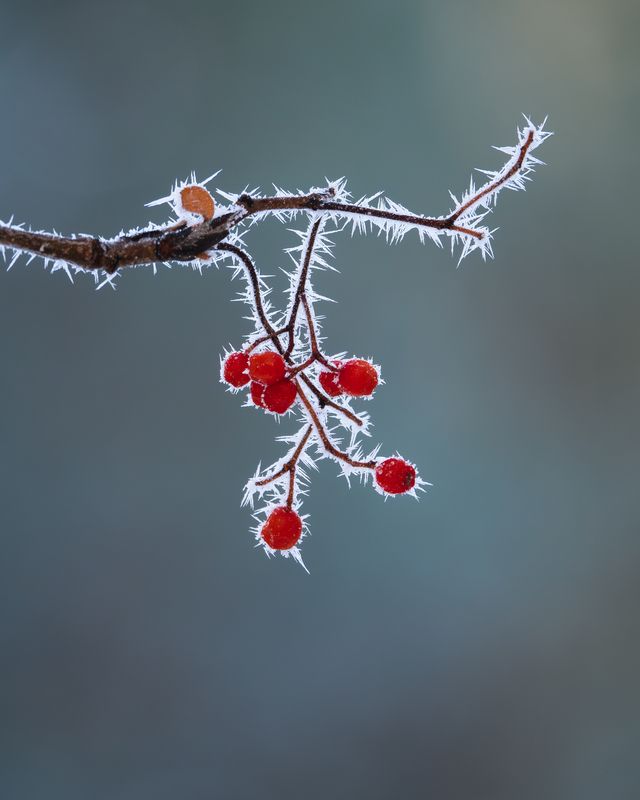 Breath of the winter photo preview